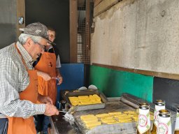 apertura_gat_2026_11