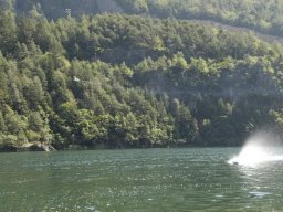 idro_lases_2007_32_20141018_1310696790