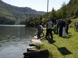 idro_lases_2007_39_20141018_1873648750