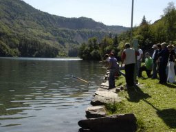 idro_lases_2007_41_20141018_1795508117