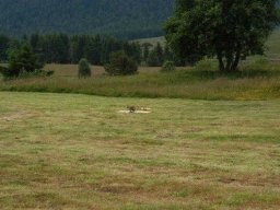 bondone_2008_34_20141018_1351545041