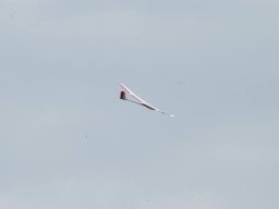 eurocup_valle_dei_laghi_08_104_20141018_1061583932