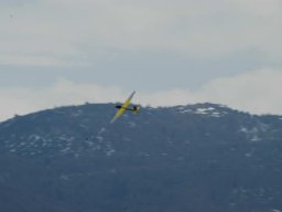 eurocup_valle_dei_laghi_08_48_20141018_1641879260