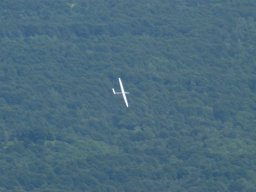 euromeeting_2010_17_20141016_1083791774