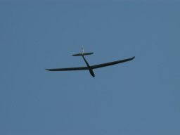 euromeeting_2010_21_20141016_2082971730