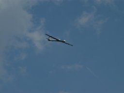 euromeeting_2010_56_20141016_1150702237