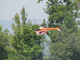 campionato_del_mondo_f3c_2011_74_20141016_1714139106