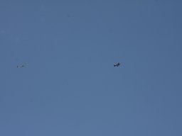 img_0010_resize_20150419_1025249887