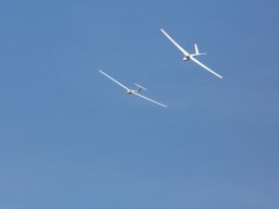1037-margone-glider---2017-fabio-staropoli-fotofiorecom_20170811_1894693333
