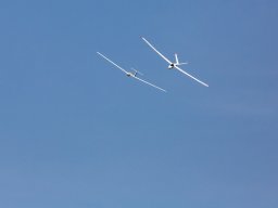 1038-margone-glider---2017-fabio-staropoli-fotofiorecom_20170811_1245251793
