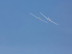 1039-margone-glider---2017-fabio-staropoli-fotofiorecom_20170811_1137897871