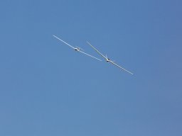 1041-margone-glider---2017-fabio-staropoli-fotofiorecom_20170811_1863329181