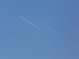 1042-margone-glider---2017-fabio-staropoli-fotofiorecom_20170811_1863166084
