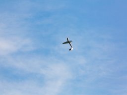 1072-margone-glider---2017-fabio-staropoli-fotofiorecom_20170811_2032703381