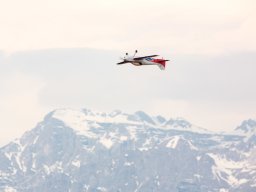 29_-2017-fabio-staropoli-fotofiorecom_20170407_1191305305