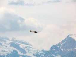 62_-2017-fabio-staropoli-fotofiorecom_20170407_1945261795